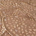 Detail of tortoise — ground mosaic