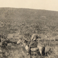 Kimberley landscape, c1930.